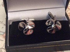 R.M.S Regina Mary Elica