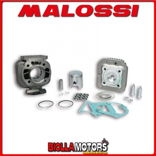 316901 cilindro malossi - cilindro,