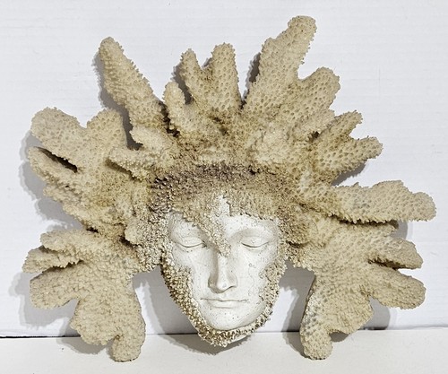 Scultura barriera corallina - in,