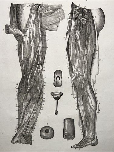 Incisione acciaio antica - acciaio,