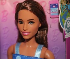 Barbie Fashionistas #242 Doll