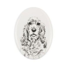 Cocker Spaniel americano