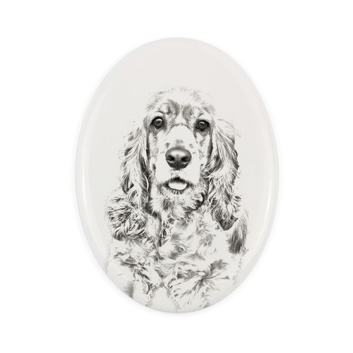 Cocker spaniel americano - cocker,