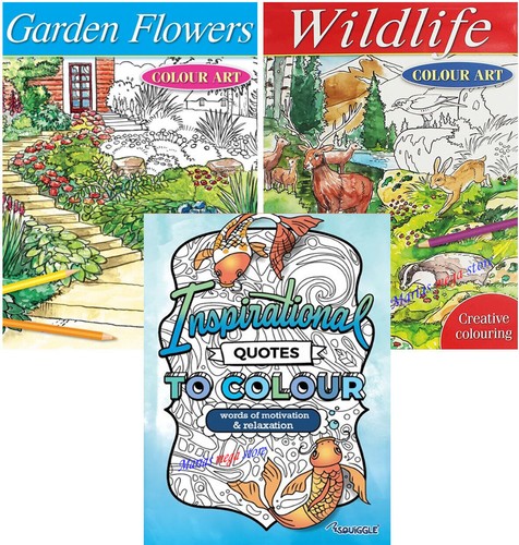 Colouring books book - books,