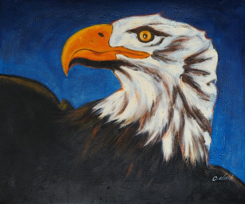 Quadro seeadler dipinto ad - quadro,