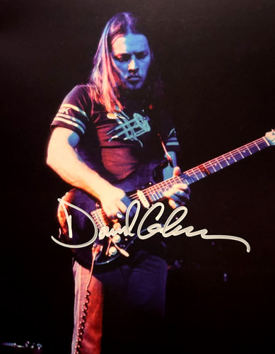 David gilmour pink - [pink, floyd]