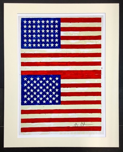 Doppia bandiera jasper johns - jasper,
