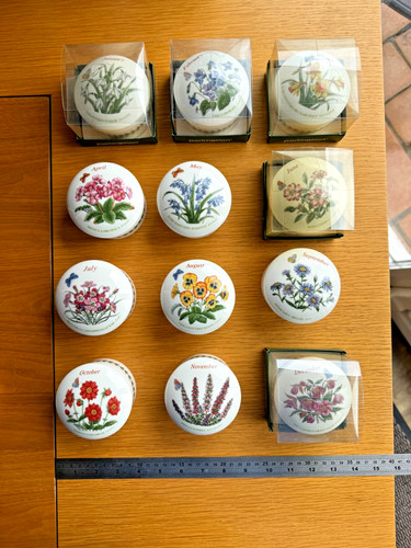 Choice portmeirion flower - portmeirion,