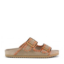 COLORS OF CALIFORNIA