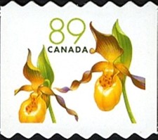 🍁Canada  #2129   "Yellow