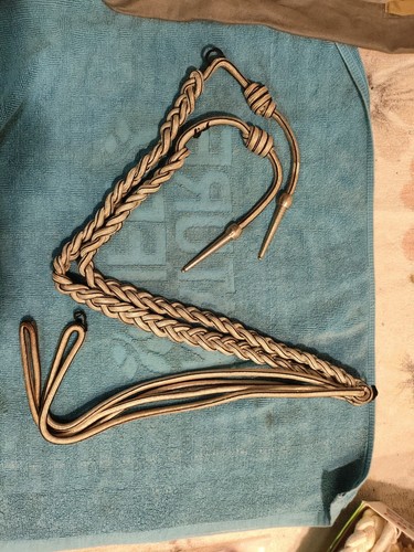 Cordelline vintage per gus - cordelline,