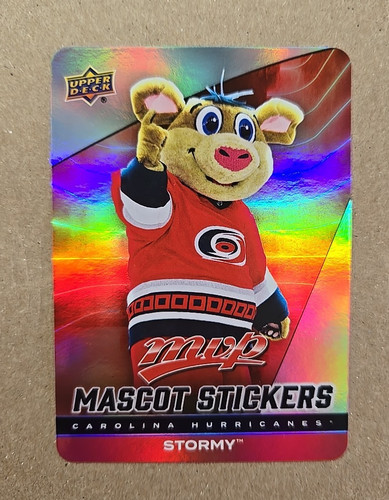 Stormy carolina hurricanes - stormy,