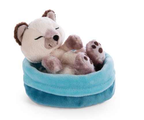 Peluche nici gatto siamese che - gatto,