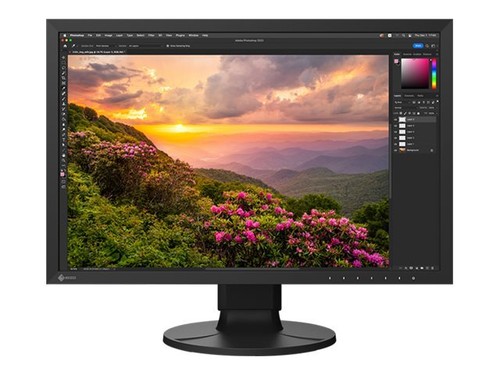 Eizo coloredge cs2400s monitor - cs2400s,