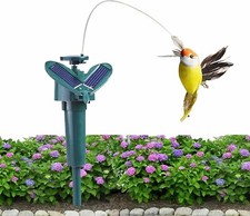 Uccellino Colibrì alimentato