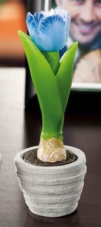 Candela tulipano vasetto - candela,