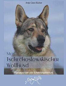 Mein tschechoslowakischer - mein,