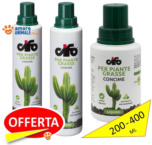 Cifo piante grasse - cifo,