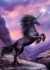 TRANSFER T-SHIRT MAGLIETTA FELPA UNICORNO NERO DARK UNICORN CAVALLO FANTASY