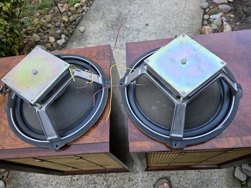 Driver altoparlante woofer - driver,