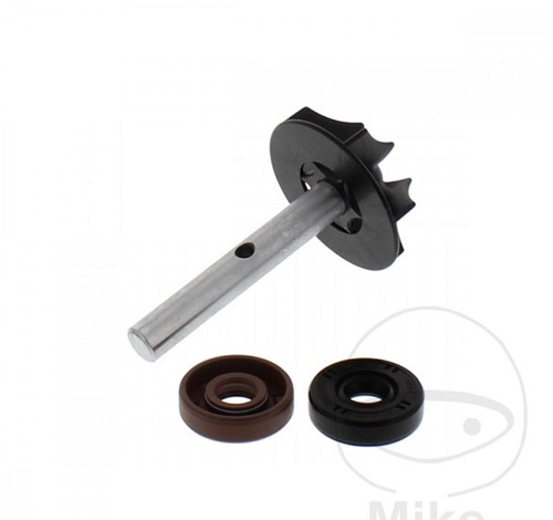 Revisione pompa acqua aprilia - revisione,
