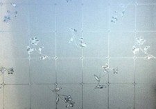 Pellicola per Vetri Finestre