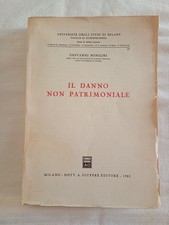 Il Danno Non Patrimoniale (