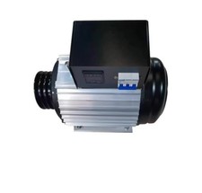 Generatore Rame Puro Terre Rare Brushless Trifase 380V per Uso Domestico