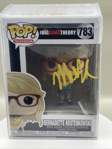 Funko pop the - the, theory