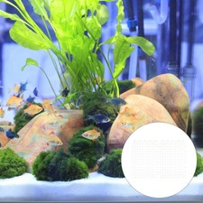  2 Pezzi Piastra Filtro Accessorio Acquario Serbatoio Pesci Separatore Ghiaia