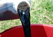 Percolato di humus di