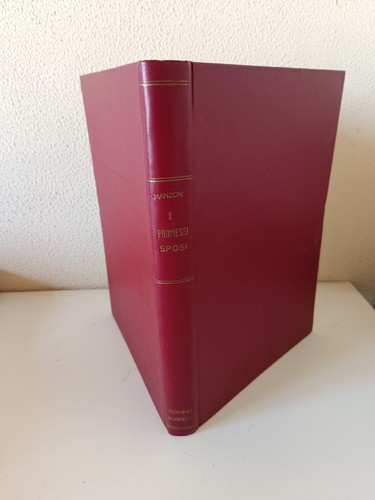 Alessandro manzoni promessi - manzoni, i
