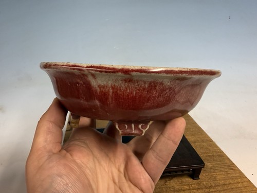 Vaso per bonsai tokoname - vaso,
