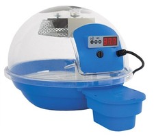 Incubatrice per uova smart - per,