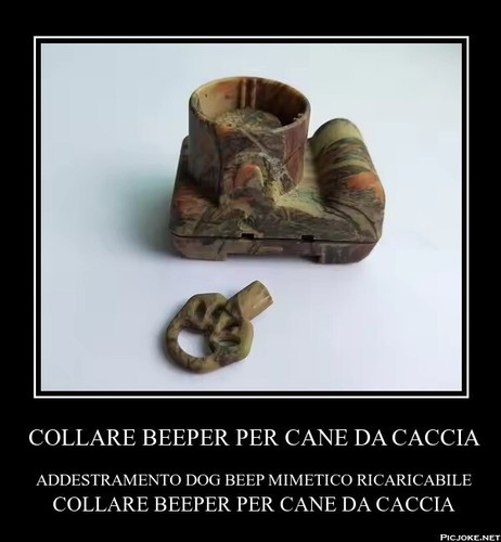 Beeper collari - beeper, di