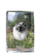 Ragdoll Collana Con Ciondolo