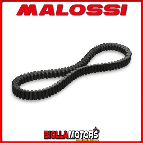 6118987 cinghia variatore - cinghia,