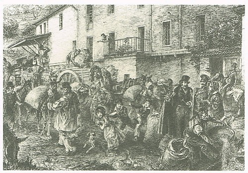 Arrivo del grano mulino - arrivo,