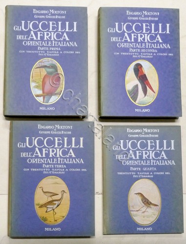 Moltoni gli uccelli - moltoni,