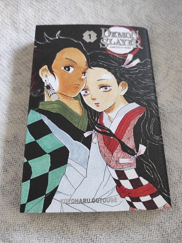 Demon slayer manga volume - slayer,
