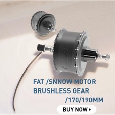 Ingranaggio brushless