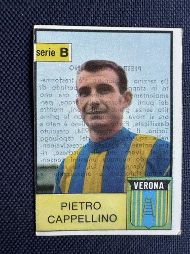 Calciatori mira 1965 verona - 1965/66,