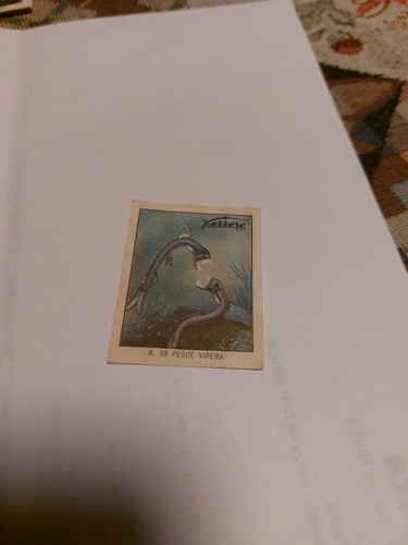 Ferrero figurina anni 60 - figurina,