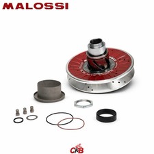 CORRETTORI DI COPPIA MALOSSI