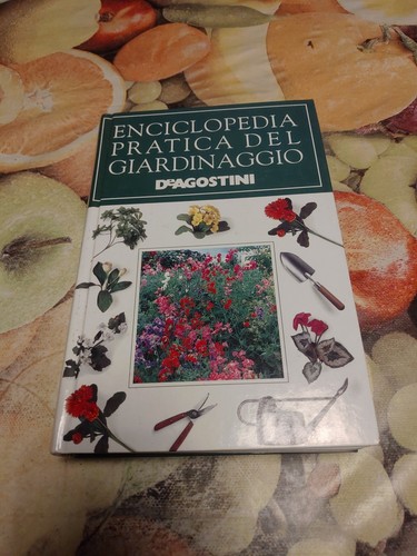 Enciclopedia pratica del - pratica,