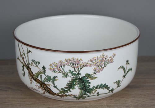 Villeroy boch b - boch, botanica