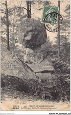 ADMP9 77 0729 - Foresta Di