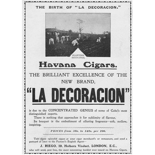 Decoracion sigari - la,