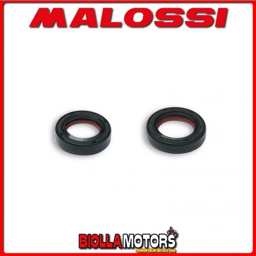 6618157 serie paraolio malossi - 6618157,