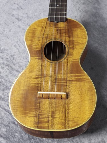 Palm tree koa concert uke - tree,